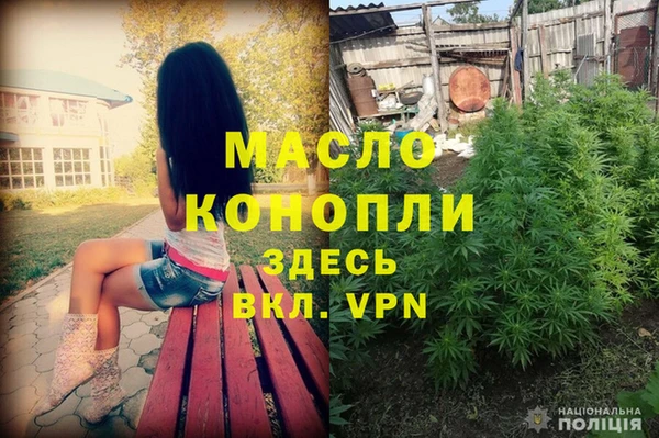крисы Гусь-Хрустальный