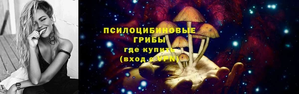 дурь Гусев