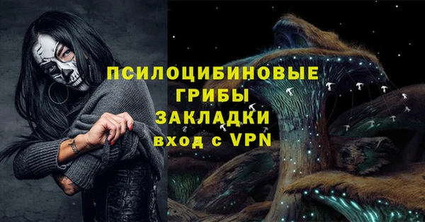 дурь Гусев