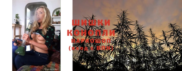 крисы Гусь-Хрустальный