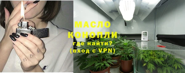 дурь Гусев