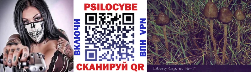 Купить закладки  Зерноград  Галлюциногенные грибы Cubensis 